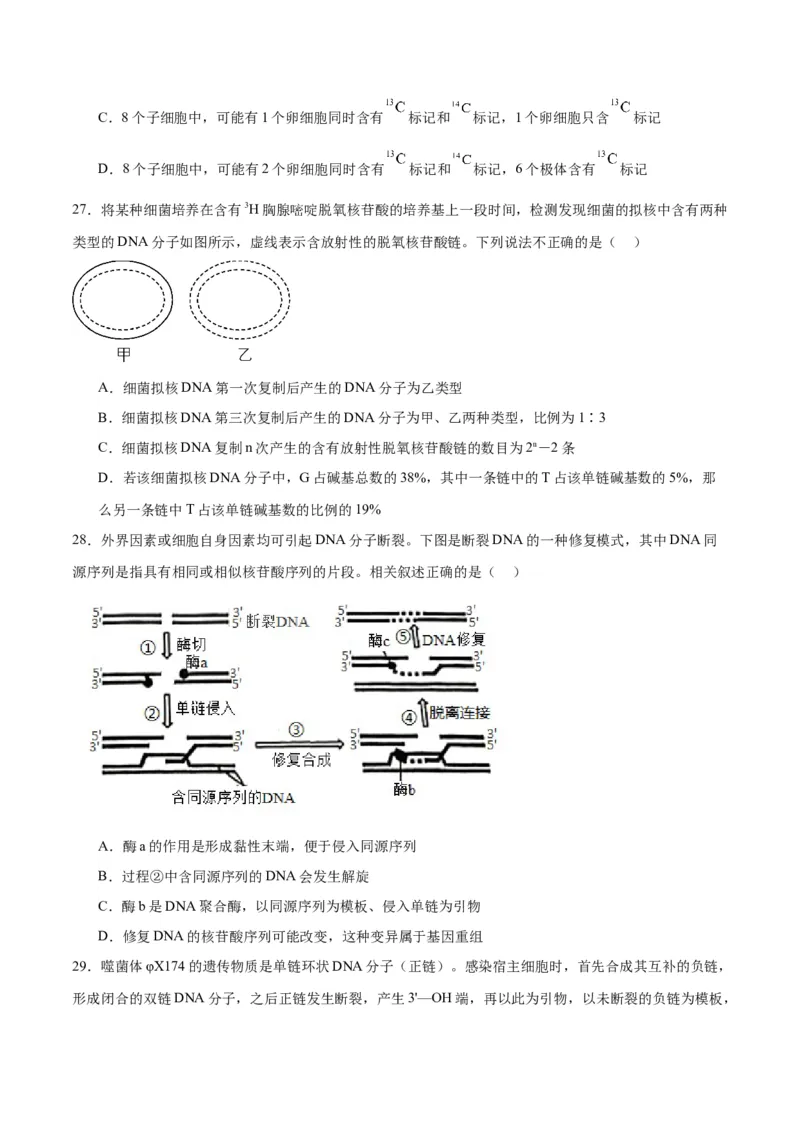 专题21DNA分子的结构、复制与基因的本质（原卷版)_2024年新高考资料_3.2024专项复习_备战2024年高考生物一轮复习重难点专项突破