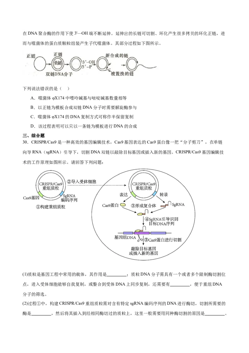 专题21DNA分子的结构、复制与基因的本质（原卷版)_2024年新高考资料_3.2024专项复习_备战2024年高考生物一轮复习重难点专项突破