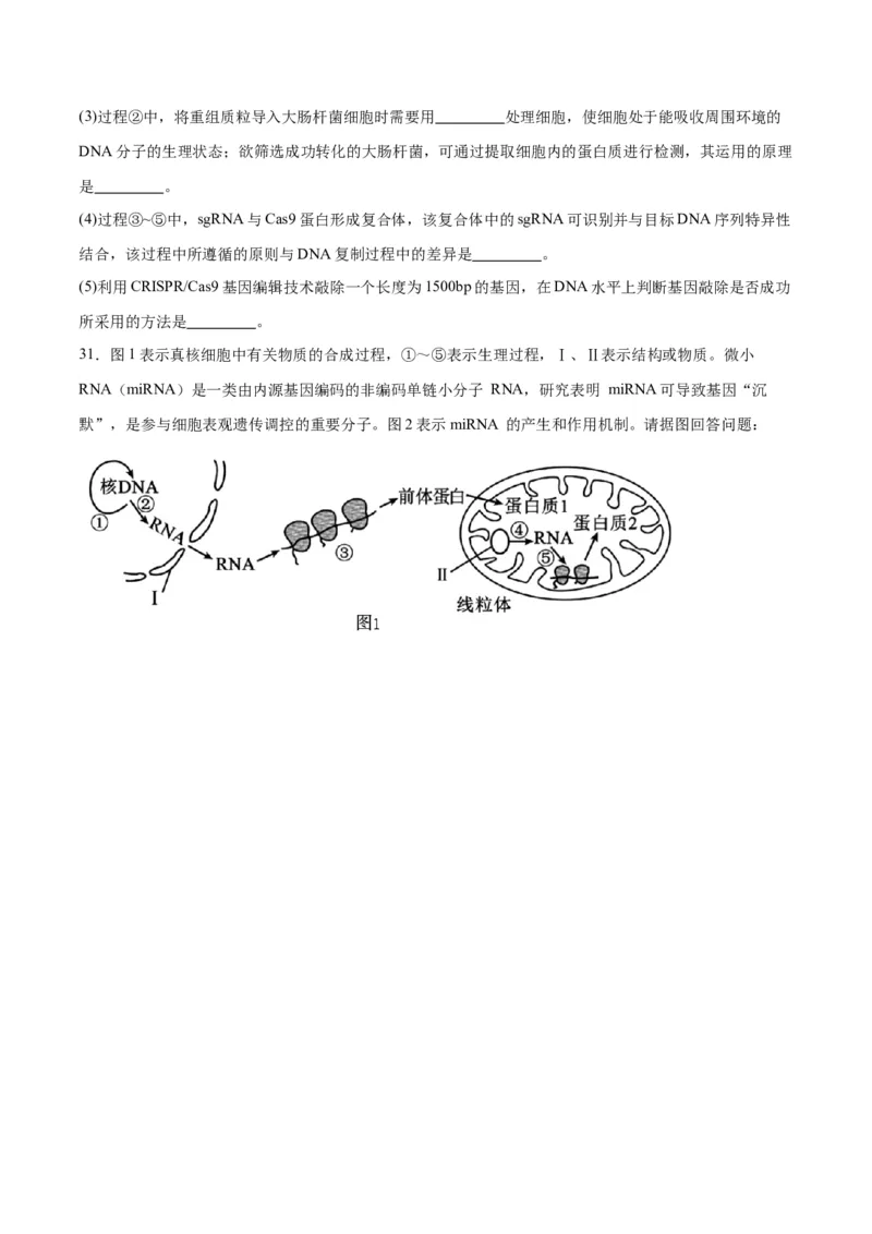 专题21DNA分子的结构、复制与基因的本质（原卷版)_2024年新高考资料_3.2024专项复习_备战2024年高考生物一轮复习重难点专项突破