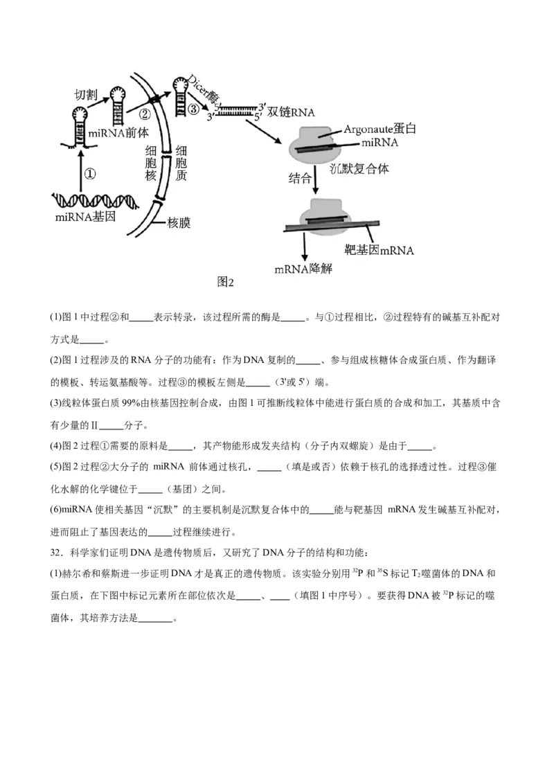 专题21DNA分子的结构、复制与基因的本质（原卷版)_2024年新高考资料_3.2024专项复习_备战2024年高考生物一轮复习重难点专项突破