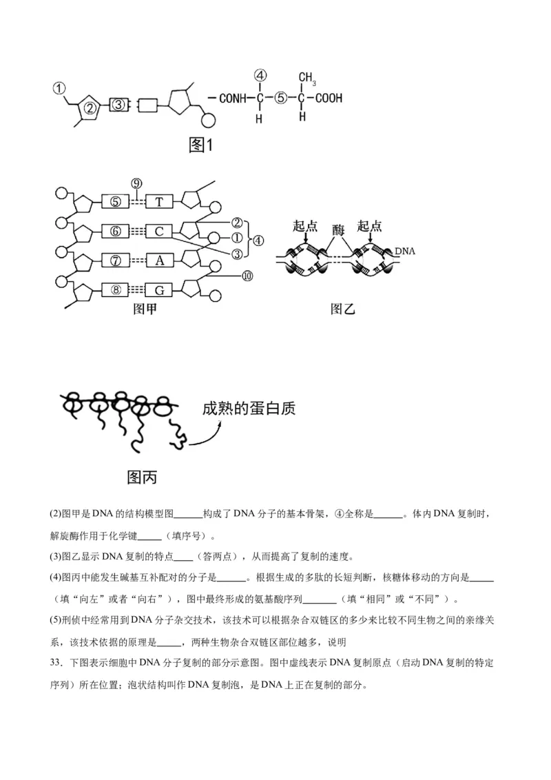 专题21DNA分子的结构、复制与基因的本质（原卷版)_2024年新高考资料_3.2024专项复习_备战2024年高考生物一轮复习重难点专项突破