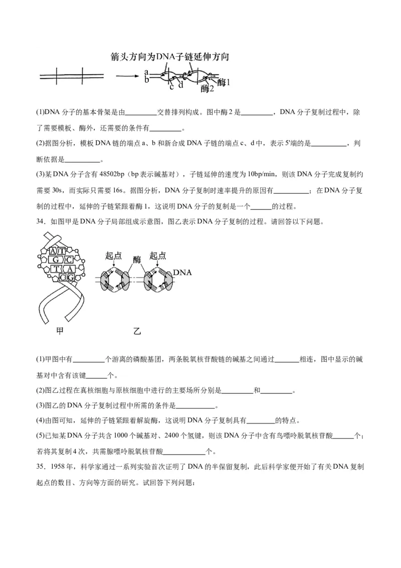 专题21DNA分子的结构、复制与基因的本质（原卷版)_2024年新高考资料_3.2024专项复习_备战2024年高考生物一轮复习重难点专项突破