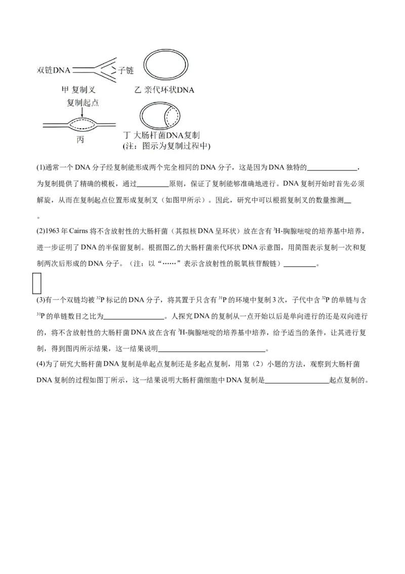 专题21DNA分子的结构、复制与基因的本质（原卷版)_2024年新高考资料_3.2024专项复习_备战2024年高考生物一轮复习重难点专项突破