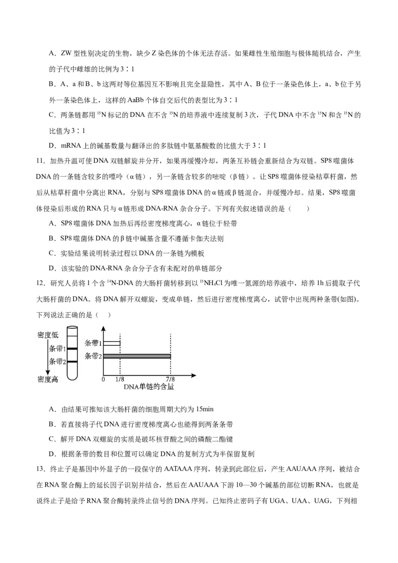 专题21DNA分子的结构、复制与基因的本质（原卷版)_2024年新高考资料_3.2024专项复习_备战2024年高考生物一轮复习重难点专项突破