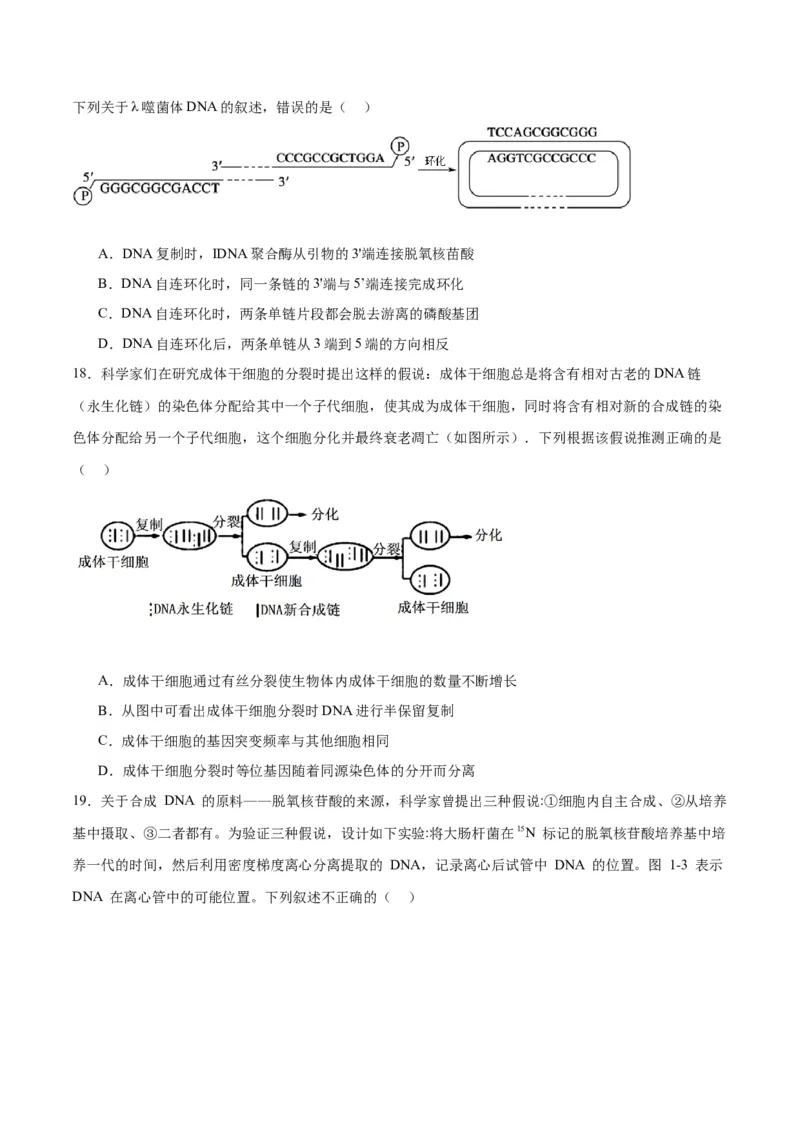 专题21DNA分子的结构、复制与基因的本质（原卷版)_2024年新高考资料_3.2024专项复习_备战2024年高考生物一轮复习重难点专项突破