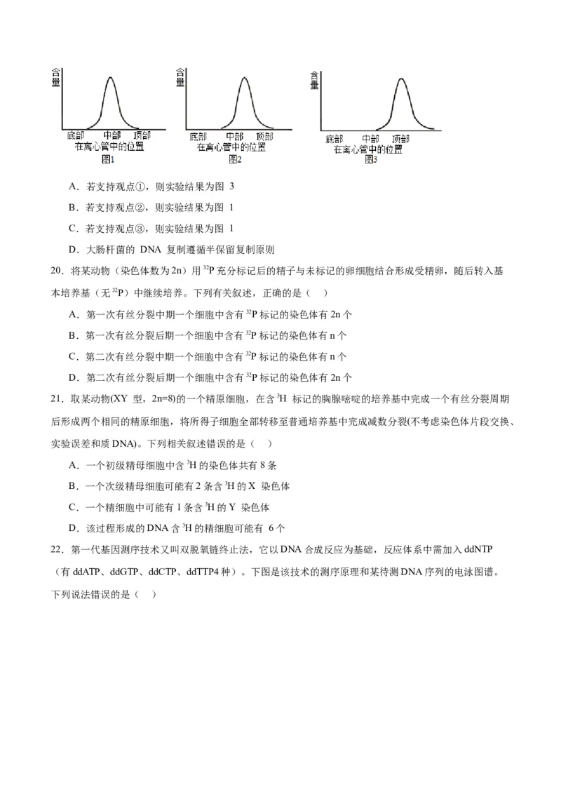 专题21DNA分子的结构、复制与基因的本质（原卷版)_2024年新高考资料_3.2024专项复习_备战2024年高考生物一轮复习重难点专项突破