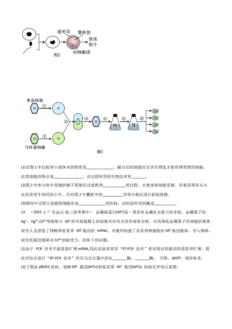 专题12细胞工程与基因工程（原卷版）_2024年新高考资料_3.2024专项复习_2024年高考生物热点&middot;重点&middot;难点专练（新高考专用）