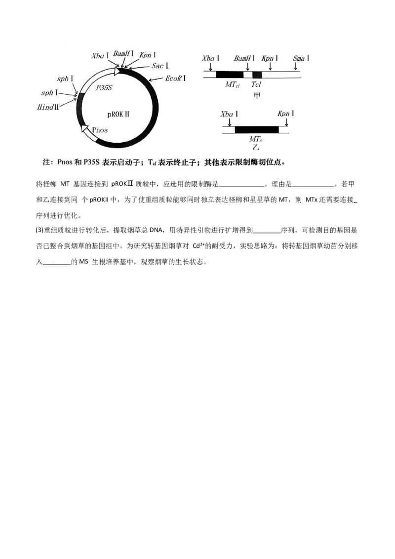专题12细胞工程与基因工程（原卷版）_2024年新高考资料_3.2024专项复习_2024年高考生物热点&middot;重点&middot;难点专练（新高考专用）