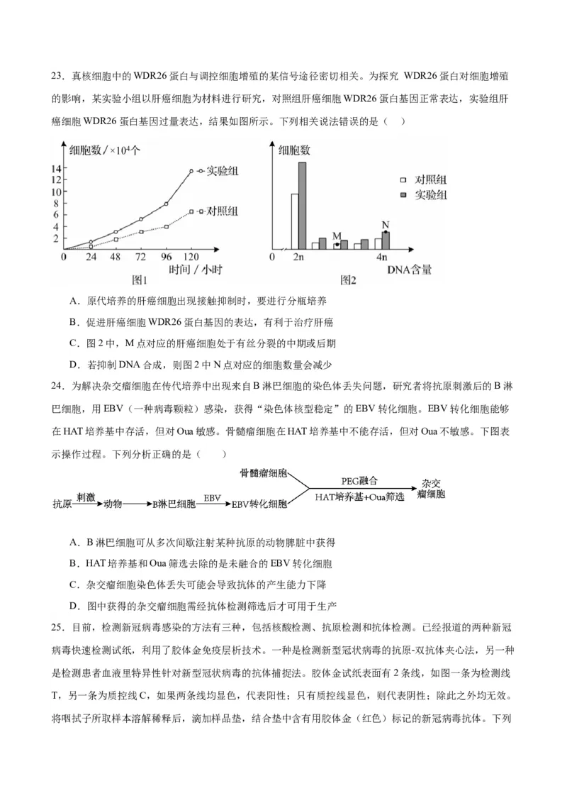 专题41动物细胞工程（原卷版）_2024年新高考资料_3.2024专项复习_备战2024年高考生物一轮复习重难点专项突破_专题41动物细胞工程-备战2024年高考生物一轮复习重难点专项突破