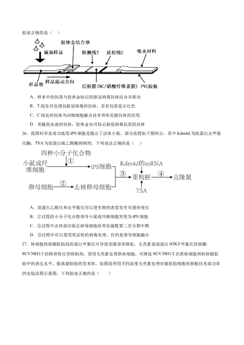 专题41动物细胞工程（原卷版）_2024年新高考资料_3.2024专项复习_备战2024年高考生物一轮复习重难点专项突破_专题41动物细胞工程-备战2024年高考生物一轮复习重难点专项突破