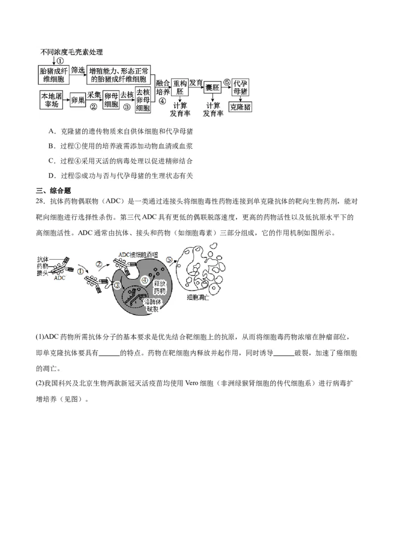 专题41动物细胞工程（原卷版）_2024年新高考资料_3.2024专项复习_备战2024年高考生物一轮复习重难点专项突破_专题41动物细胞工程-备战2024年高考生物一轮复习重难点专项突破