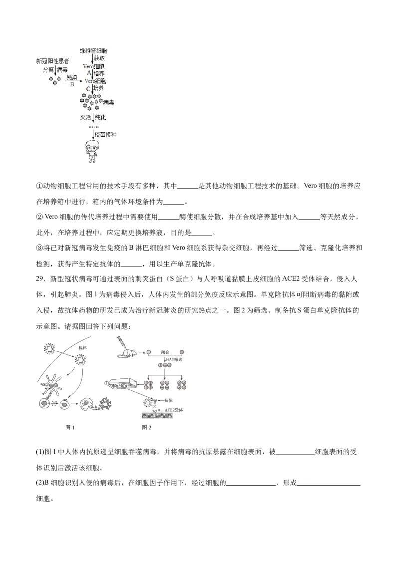 专题41动物细胞工程（原卷版）_2024年新高考资料_3.2024专项复习_备战2024年高考生物一轮复习重难点专项突破_专题41动物细胞工程-备战2024年高考生物一轮复习重难点专项突破