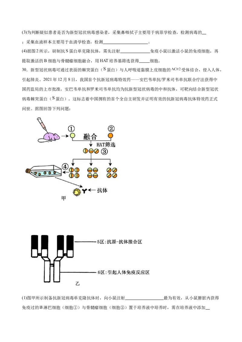专题41动物细胞工程（原卷版）_2024年新高考资料_3.2024专项复习_备战2024年高考生物一轮复习重难点专项突破_专题41动物细胞工程-备战2024年高考生物一轮复习重难点专项突破
