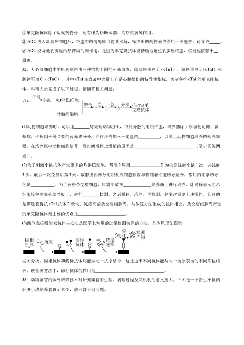专题41动物细胞工程（原卷版）_2024年新高考资料_3.2024专项复习_备战2024年高考生物一轮复习重难点专项突破_专题41动物细胞工程-备战2024年高考生物一轮复习重难点专项突破
