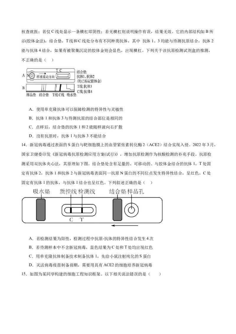 专题41动物细胞工程（原卷版）_2024年新高考资料_3.2024专项复习_备战2024年高考生物一轮复习重难点专项突破_专题41动物细胞工程-备战2024年高考生物一轮复习重难点专项突破