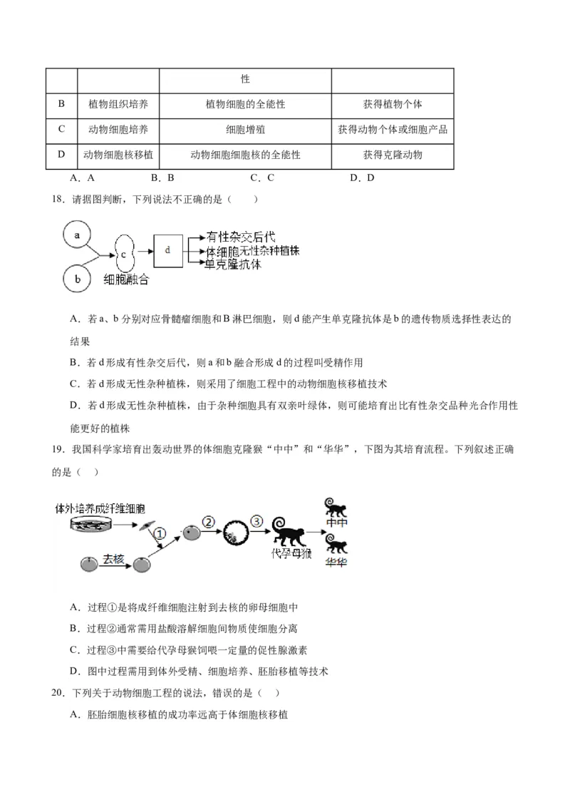 专题41动物细胞工程（原卷版）_2024年新高考资料_3.2024专项复习_备战2024年高考生物一轮复习重难点专项突破_专题41动物细胞工程-备战2024年高考生物一轮复习重难点专项突破