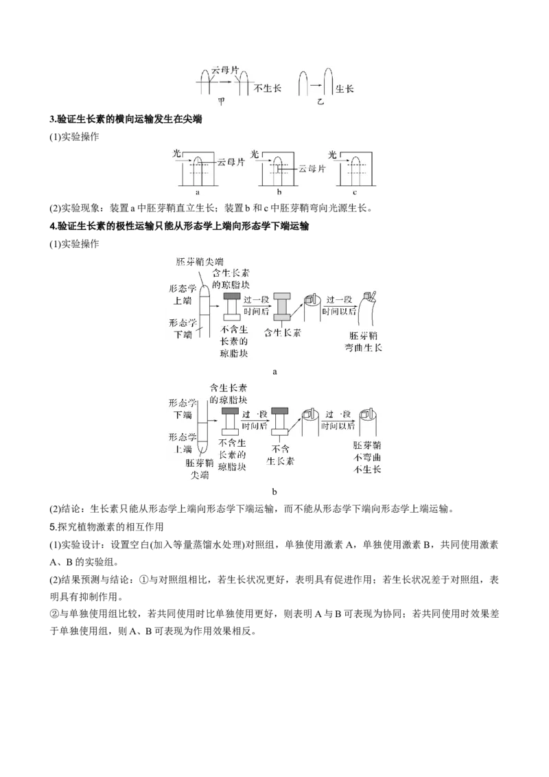 专题08植物生命活动调节（解析版）_2024年新高考资料_3.2024专项复习_2024年高考生物热点&middot;重点&middot;难点专练（新高考专用）