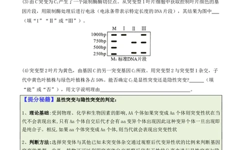 专题07遗传变异（原卷版）_2024年新高考资料_2.2024二轮复习_2024年高考生物二轮热点题型归纳与变式演练（新高考通用）