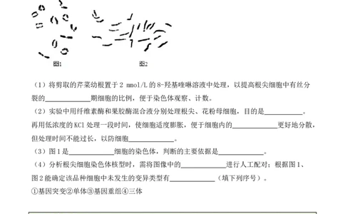 专题07遗传变异（原卷版）_2024年新高考资料_2.2024二轮复习_2024年高考生物二轮热点题型归纳与变式演练（新高考通用）