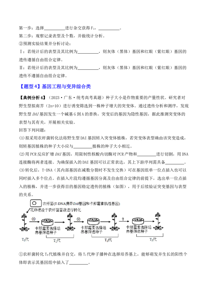 专题07遗传变异（原卷版）_2024年新高考资料_2.2024二轮复习_2024年高考生物二轮热点题型归纳与变式演练（新高考通用）