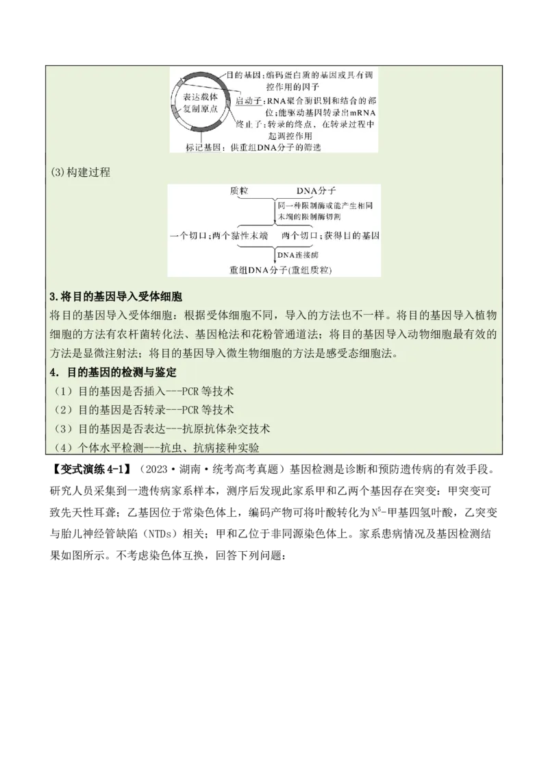 专题07遗传变异（原卷版）_2024年新高考资料_2.2024二轮复习_2024年高考生物二轮热点题型归纳与变式演练（新高考通用）
