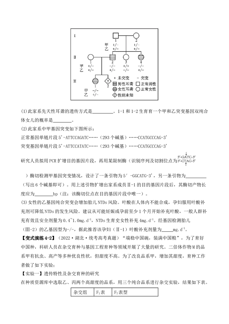 专题07遗传变异（原卷版）_2024年新高考资料_2.2024二轮复习_2024年高考生物二轮热点题型归纳与变式演练（新高考通用）