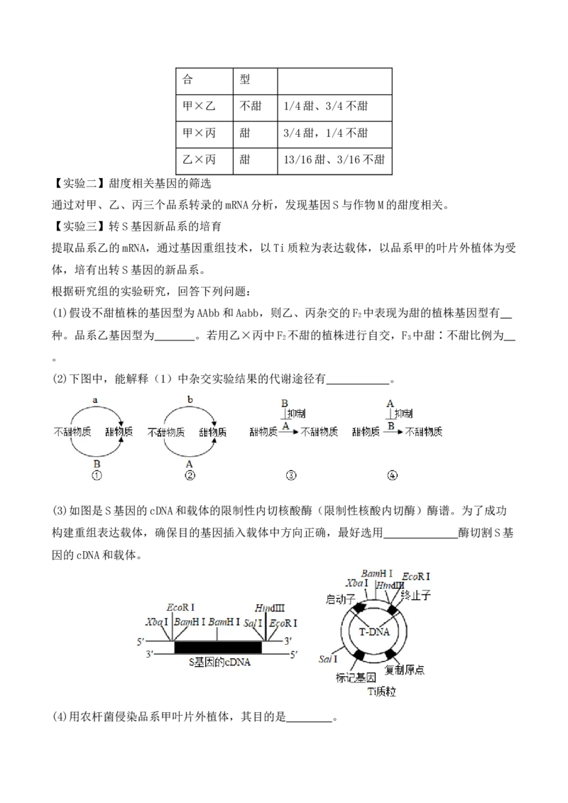 专题07遗传变异（原卷版）_2024年新高考资料_2.2024二轮复习_2024年高考生物二轮热点题型归纳与变式演练（新高考通用）