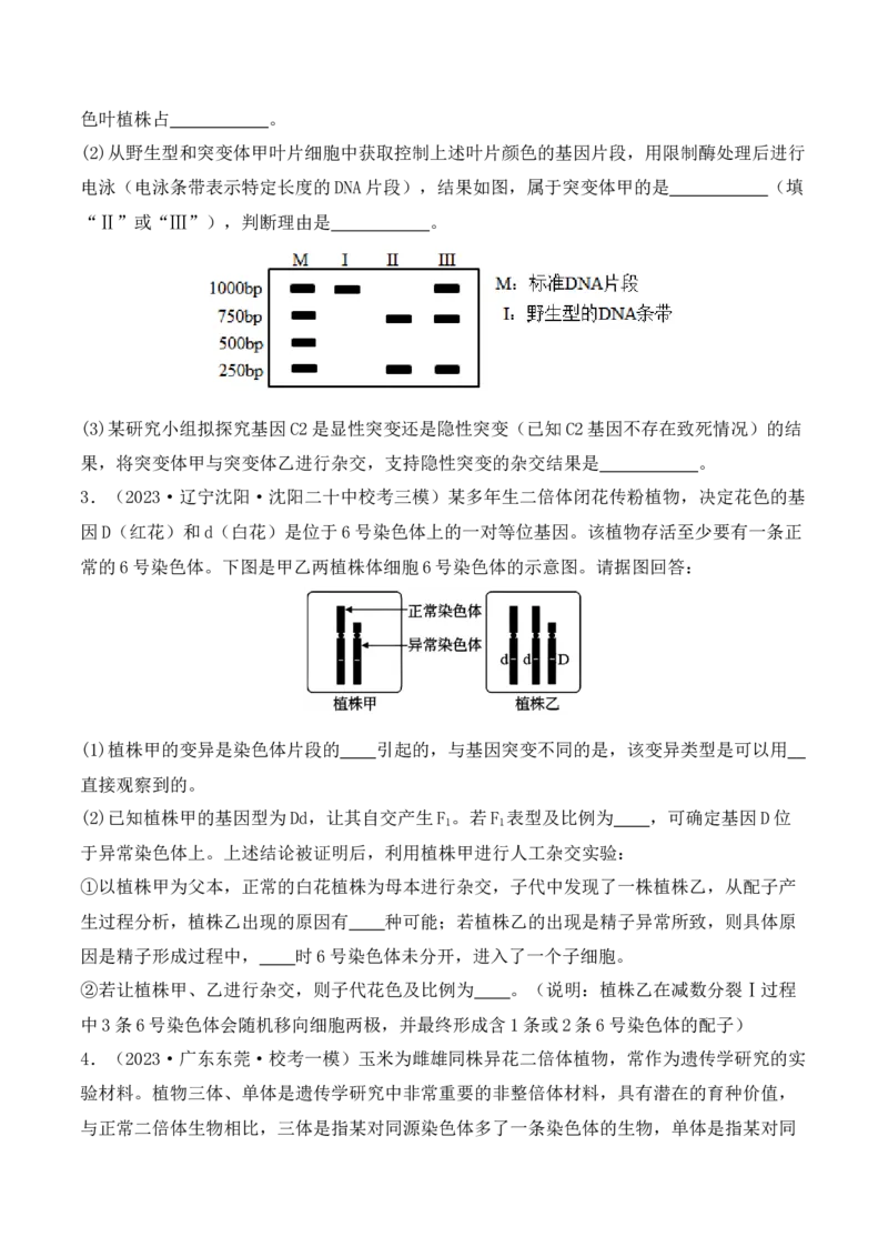 专题07遗传变异（原卷版）_2024年新高考资料_2.2024二轮复习_2024年高考生物二轮热点题型归纳与变式演练（新高考通用）