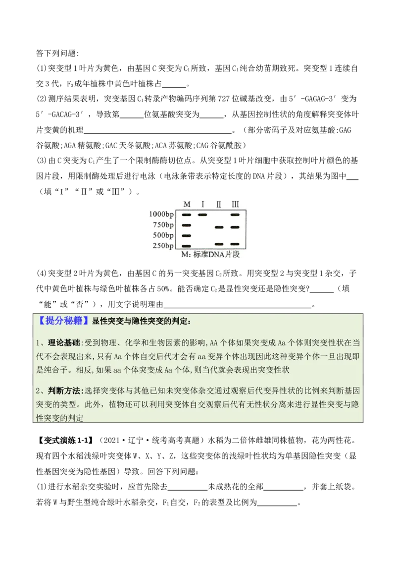 专题07遗传变异（原卷版）_2024年新高考资料_2.2024二轮复习_2024年高考生物二轮热点题型归纳与变式演练（新高考通用）