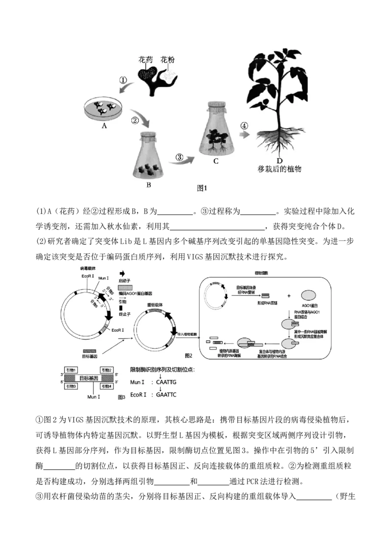 专题07遗传变异（原卷版）_2024年新高考资料_2.2024二轮复习_2024年高考生物二轮热点题型归纳与变式演练（新高考通用）