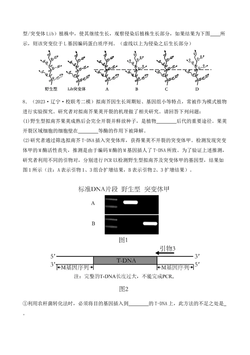 专题07遗传变异（原卷版）_2024年新高考资料_2.2024二轮复习_2024年高考生物二轮热点题型归纳与变式演练（新高考通用）