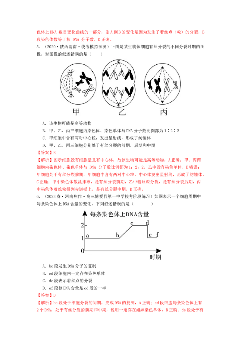 专题10细胞的增殖（解析版）_2024年新高考资料_1.2024一轮复习_备战2024年高考生物一轮复习抢分特训（全国通用）_专题10+细胞的增殖-备战2024年高考生物一轮复习抢分特训（全国通用）