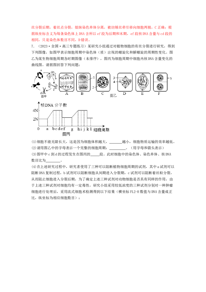 专题10细胞的增殖（解析版）_2024年新高考资料_1.2024一轮复习_备战2024年高考生物一轮复习抢分特训（全国通用）_专题10+细胞的增殖-备战2024年高考生物一轮复习抢分特训（全国通用）