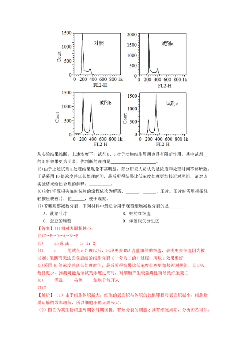 专题10细胞的增殖（解析版）_2024年新高考资料_1.2024一轮复习_备战2024年高考生物一轮复习抢分特训（全国通用）_专题10+细胞的增殖-备战2024年高考生物一轮复习抢分特训（全国通用）