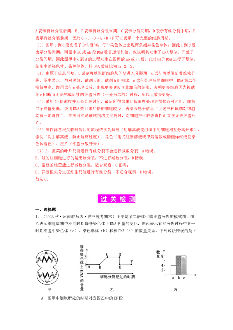 专题10细胞的增殖（解析版）_2024年新高考资料_1.2024一轮复习_备战2024年高考生物一轮复习抢分特训（全国通用）_专题10+细胞的增殖-备战2024年高考生物一轮复习抢分特训（全国通用）