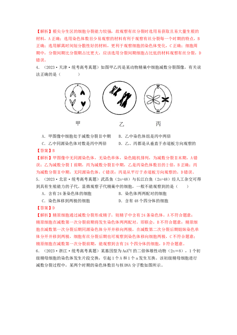 专题10细胞的增殖（解析版）_2024年新高考资料_1.2024一轮复习_备战2024年高考生物一轮复习抢分特训（全国通用）_专题10+细胞的增殖-备战2024年高考生物一轮复习抢分特训（全国通用）