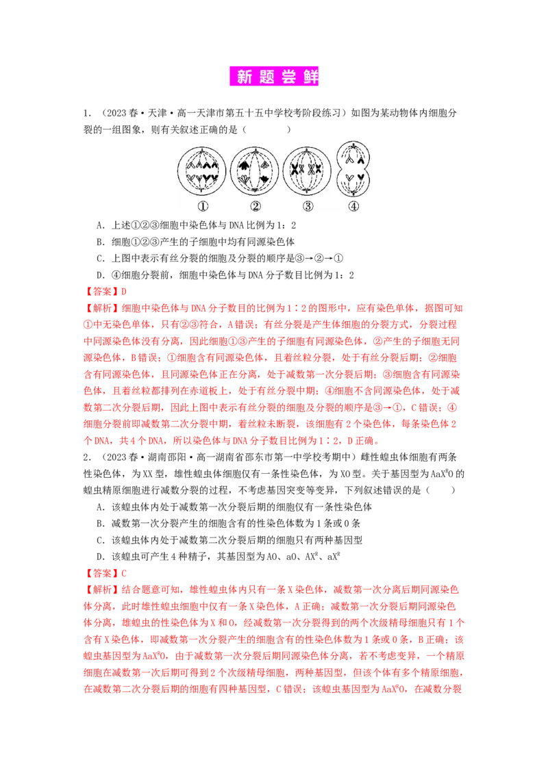 专题10细胞的增殖（解析版）_2024年新高考资料_1.2024一轮复习_备战2024年高考生物一轮复习抢分特训（全国通用）_专题10+细胞的增殖-备战2024年高考生物一轮复习抢分特训（全国通用）