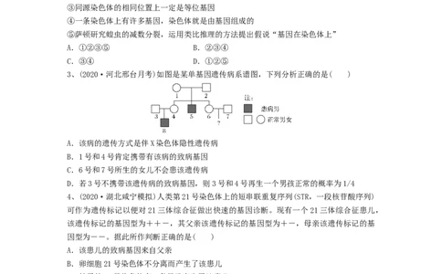 专题16基因在染色体上、伴性遗传和人类遗传病（精练）（原卷版）_2024年新高考资料_1.2024一轮复习_备战2024年高考生物一轮复习串讲精练（新高考专用）