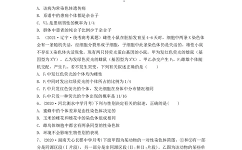 专题16基因在染色体上、伴性遗传和人类遗传病（精练）（原卷版）_2024年新高考资料_1.2024一轮复习_备战2024年高考生物一轮复习串讲精练（新高考专用）
