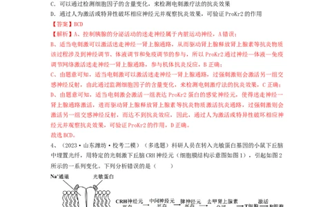 专题26免疫调节（精练）（解析版）_2024年新高考资料_1.2024一轮复习_备战2024年高考生物一轮复习串讲精练（新高考专用）