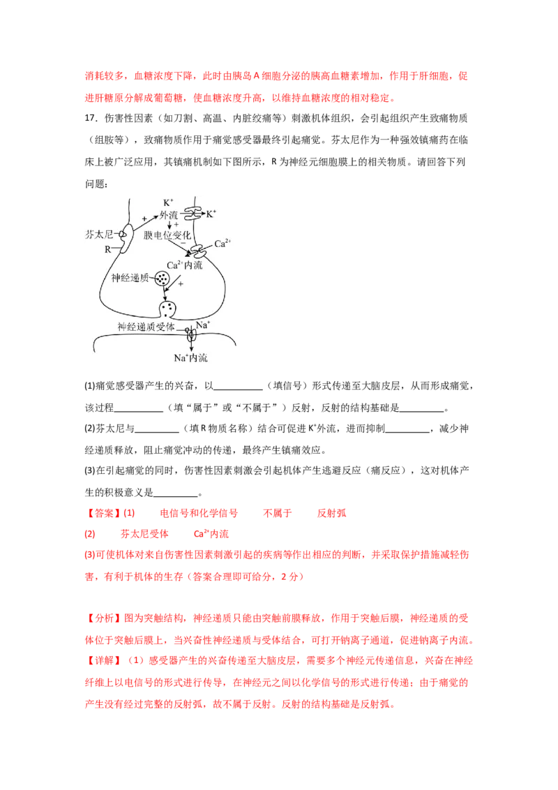 单元检测卷08稳态与调节（解析版）_2024年新高考资料_1.2024一轮复习_2024年高考生物一轮复习考点通关卷（新高考通用）
