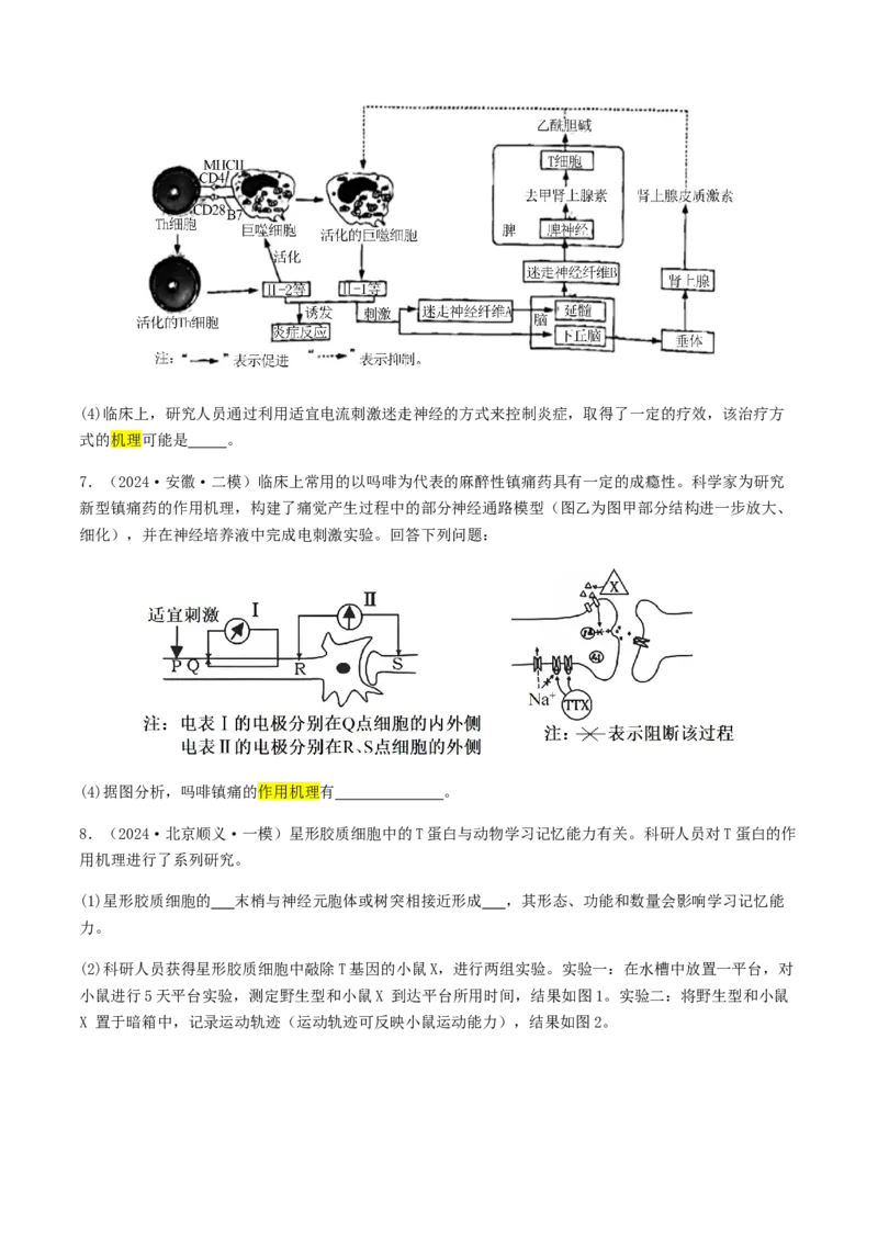 抢分12非选择题冲刺篇（学生版）_2024年新高考资料_5.2024三轮冲刺_备战2024年高考生物抢分秘籍（新高考专用）321842314