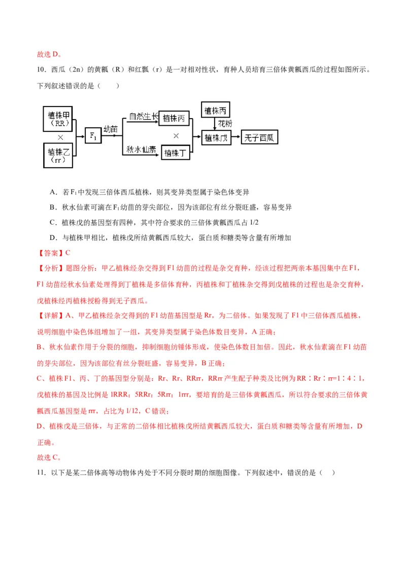 专题23生物的变异（解析版)_2024年新高考资料_3.2024专项复习_备战2024年高考生物一轮复习重难点专项突破_专题23生物的变异-备战2024年高考生物一轮复习重难点专项突破
