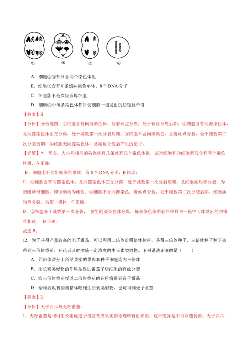 专题23生物的变异（解析版)_2024年新高考资料_3.2024专项复习_备战2024年高考生物一轮复习重难点专项突破_专题23生物的变异-备战2024年高考生物一轮复习重难点专项突破