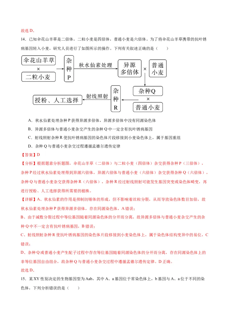 专题23生物的变异（解析版)_2024年新高考资料_3.2024专项复习_备战2024年高考生物一轮复习重难点专项突破_专题23生物的变异-备战2024年高考生物一轮复习重难点专项突破