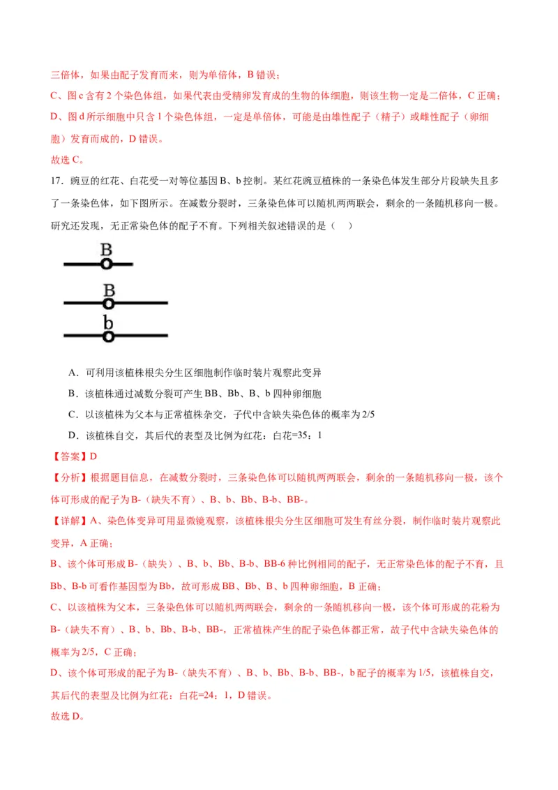 专题23生物的变异（解析版)_2024年新高考资料_3.2024专项复习_备战2024年高考生物一轮复习重难点专项突破_专题23生物的变异-备战2024年高考生物一轮复习重难点专项突破
