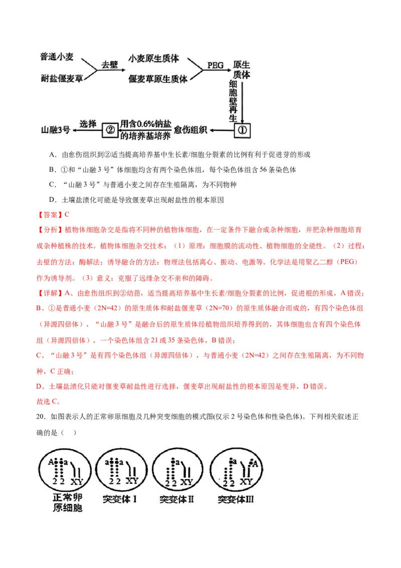 专题23生物的变异（解析版)_2024年新高考资料_3.2024专项复习_备战2024年高考生物一轮复习重难点专项突破_专题23生物的变异-备战2024年高考生物一轮复习重难点专项突破