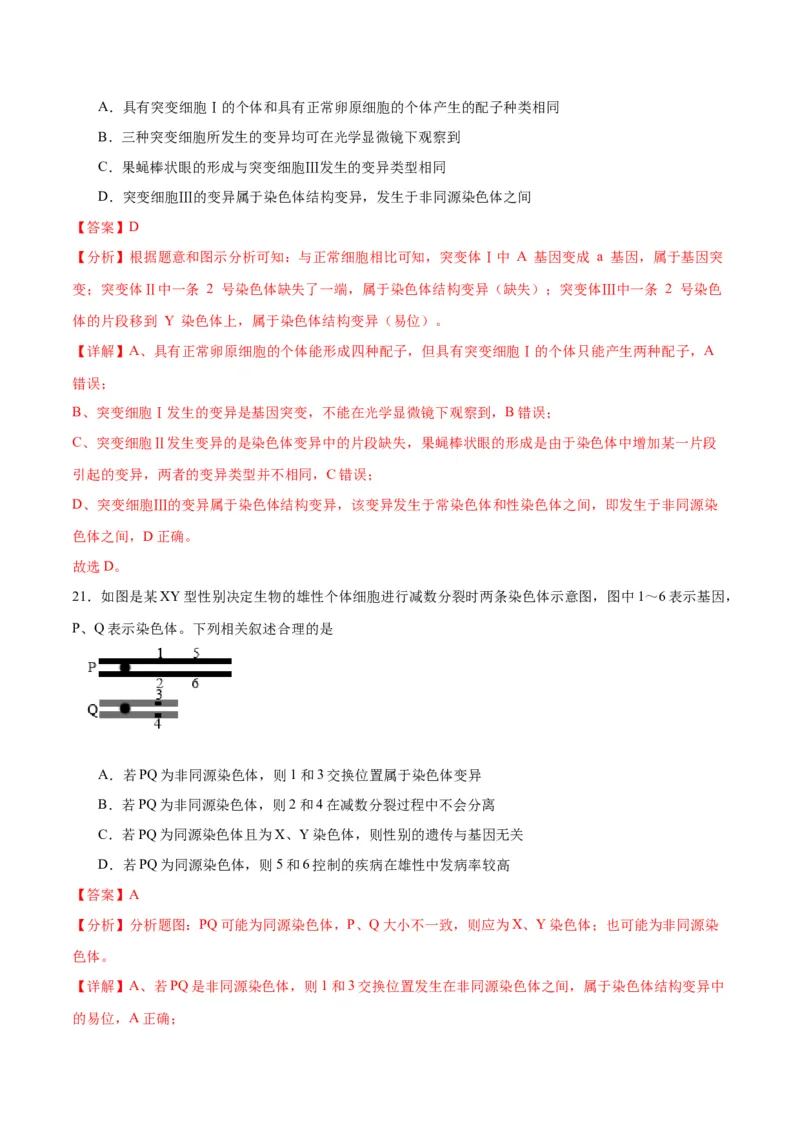 专题23生物的变异（解析版)_2024年新高考资料_3.2024专项复习_备战2024年高考生物一轮复习重难点专项突破_专题23生物的变异-备战2024年高考生物一轮复习重难点专项突破