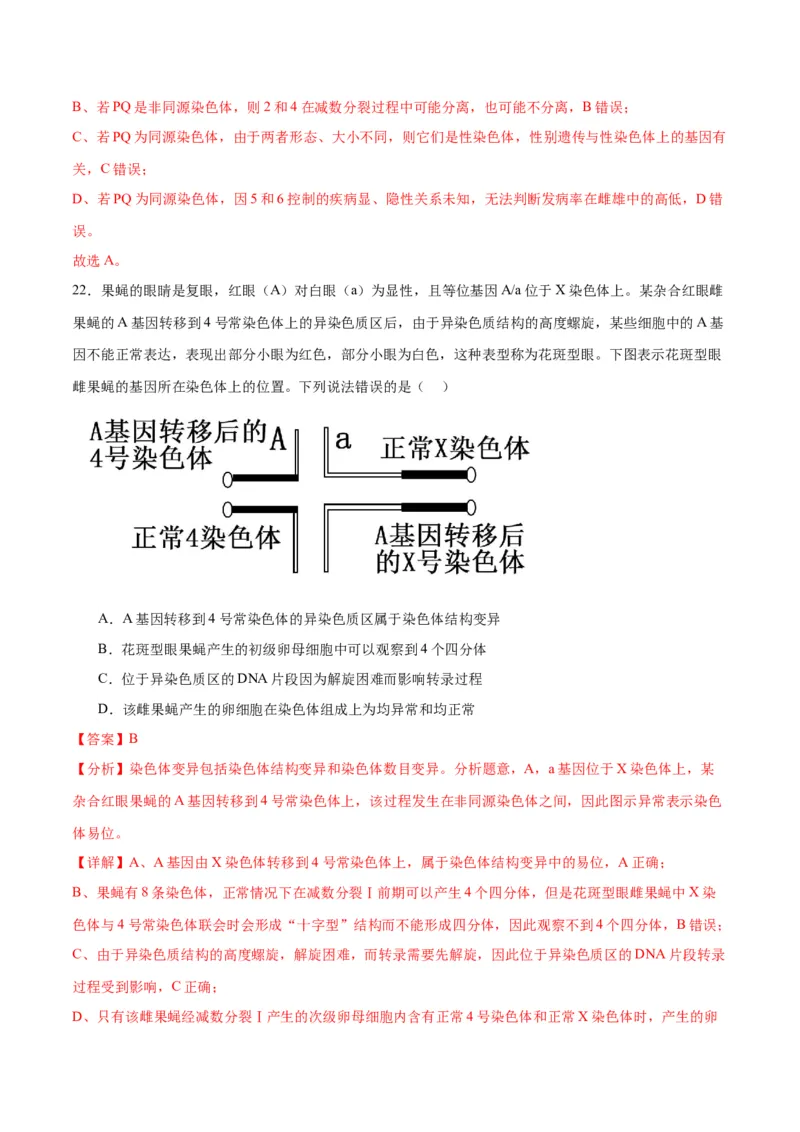专题23生物的变异（解析版)_2024年新高考资料_3.2024专项复习_备战2024年高考生物一轮复习重难点专项突破_专题23生物的变异-备战2024年高考生物一轮复习重难点专项突破