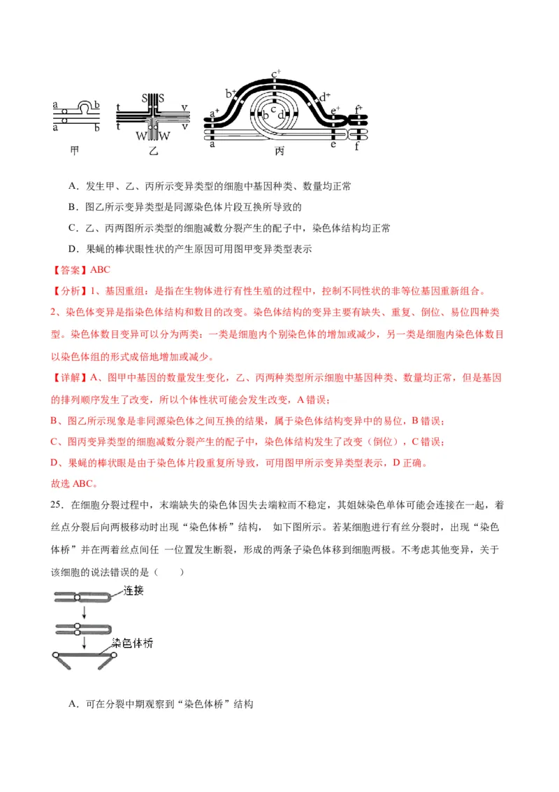 专题23生物的变异（解析版)_2024年新高考资料_3.2024专项复习_备战2024年高考生物一轮复习重难点专项突破_专题23生物的变异-备战2024年高考生物一轮复习重难点专项突破